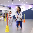 진영라온태권도장 이미지