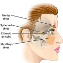 운동케어센터 이미지