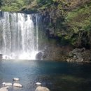 천제연폭포 이미지