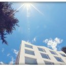 피그멜리온 이펙트 이미지