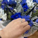 [W.13]프로포즈를 받았다💍