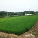 답내1리  마을회관 이미지