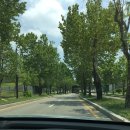 두꺼비로38번길(3-261) | 여름에 청주를 가면 ~~