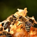 바이오텍 이미지