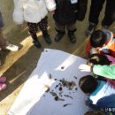 당평초등학교 이미지
