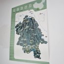 사당찻집 지유명차 보이차 체험 후기 / 지유명가 보이차