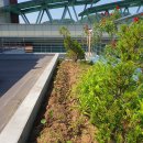 괴산군치매안심센터 이미지