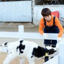 근성목장 이미지