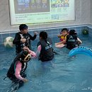 쌍림초교 이미지