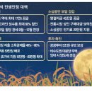 두배로마트 매일경제