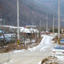 베지아웃스테이 네이버블로그