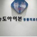 송도 아이본 동물의료센터 이미지