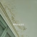 내곡한라아파트 이미지