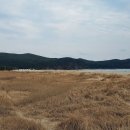 다대포해수욕장 이미지