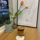 카페스텔라(Cafe Stella)