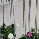 동학산2길 이미지