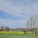 쿠팡공인중개사사무소 이미지