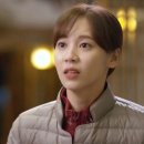 강아지가정부