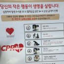 김녕어촌계해녀삼춘 | 한수풀해녀학교 2주차 CPR 교육과 첫 물질 수업!!!! 뿔소라를 잡아라~