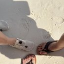 뱀부스테이