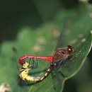 (주)이소 이미지