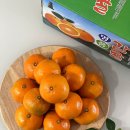 오광농원 | [흑토농원]고당도감귤추천 제주 제철 햇 감귤 : 새콤달콤 겨울 비타민 충전으로 딱이야