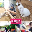 버드앤쥬샵 이미지