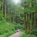 광릉수목원 이미지