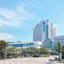 일산병원 뉴시스