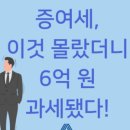 세빛세무회계 - 10881 | 세빛세무회계
