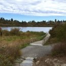 영어(중급) 이미지