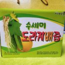 금척상리 | 목건강엔 개미농법 수세미도라지배즙