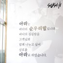 아라스시 이미지