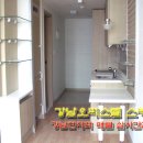 동양라디안루키 이미지