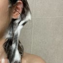 블라썸테크놀로지 | 여름샴푸 추천 쿤달 히알루론 에어리 볼륨 샴푸+트리트먼트+세럼 3종 세트 솔직 후기