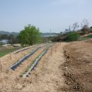 옥천 농장 이미지