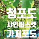 현경농장 이미지