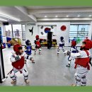 고려체대태권도 이미지