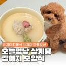오늘도멍냥 | 강아지보양식 강아지삼계탕 오늘도멍냥 후기 초복날짜는?