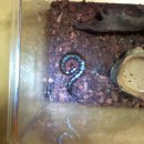 마들역(7호선) 이미지