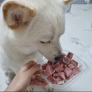 원주 참다랑어 막 주는집 참치정육점 배달 맛집