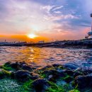 The Best Of Folk Songs &amp; Country Songs Collection | Beautiful Folk Songs 이미지