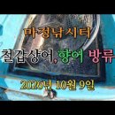 마정낚시터 10월 9일 철갑상어, 향어 방류 이미지