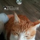 릴리호텔 이미지