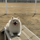 겟풀(GETPOOL) 이미지