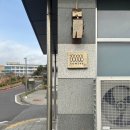 코미세 | 서귀포 신시가지 밥집 추천 [코미세] 제주 지라시스시 맛집