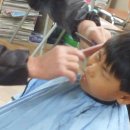 선거마을 이미지