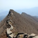 장자골로 이미지