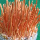 도원산업 이미지