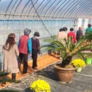 회산백련지 소공원 이미지